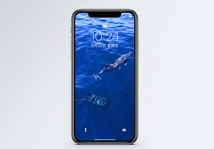 垦丁海豚手机壁纸图片