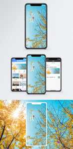 立秋手机海报配图图片