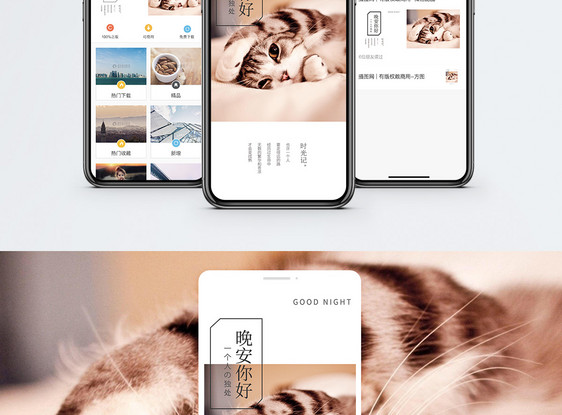 晚安手机海报配图图片