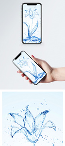 百合花手机壁纸图片
