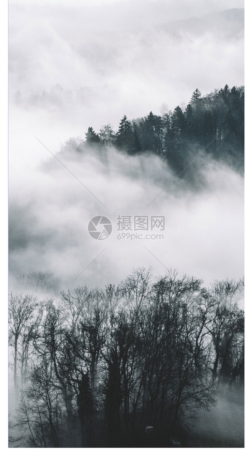 云海山林手机壁纸模板素材 正版图片400268801 摄图网