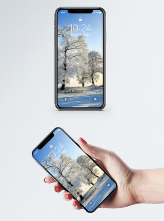 雪地雾凇岛手机壁纸图片