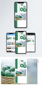 早晚问候手机海报配图图片
