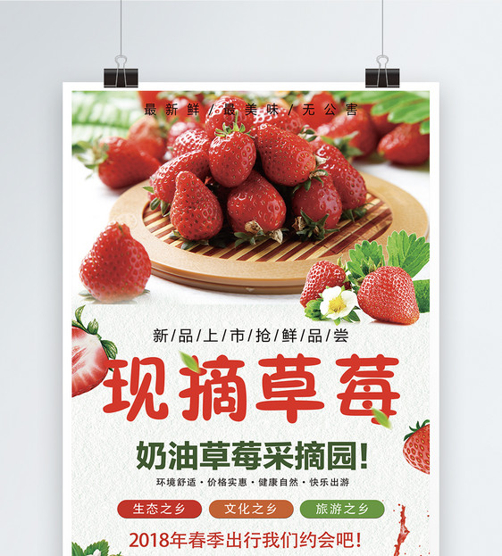 现摘草莓水果海报图片