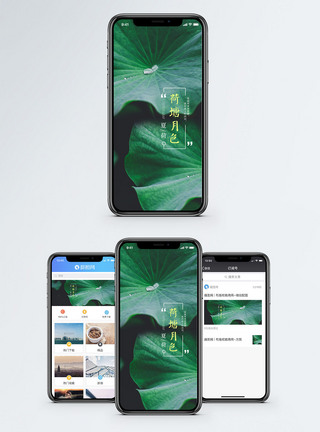 荷叶露水荷塘月色 手机海报配图模板