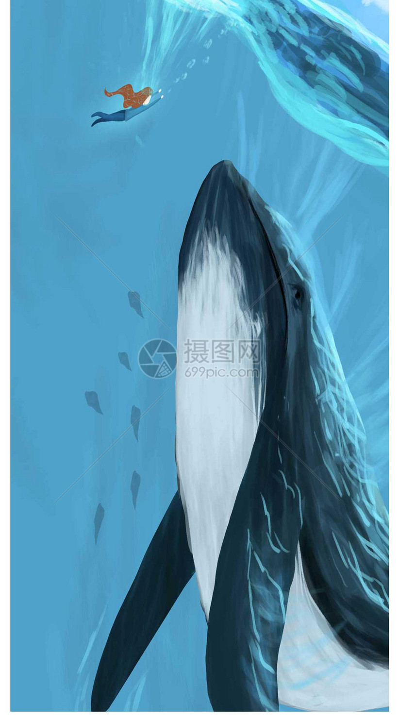 巨鲸系列手机壁纸模板素材 正版图片 摄图网