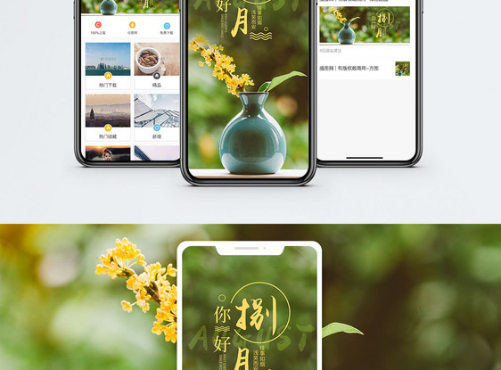 八月你好手机海报配图图片