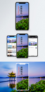 荷塘夜色手机海报配图图片