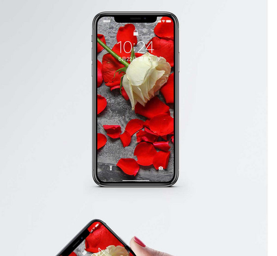 玫瑰类手机壁纸图片