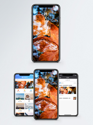 秋天的思念秋季手机海报配图图片