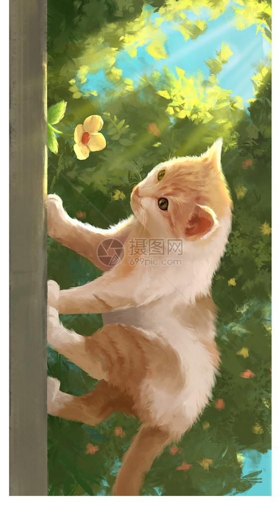 猫与花手机壁纸图片