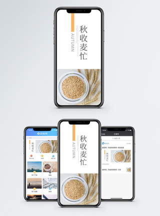 秋收麦忙手机海报配图图片
