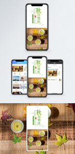 秋日情怀秋天手机海报配图图片