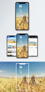 秋收获的季节手机海报配图图片