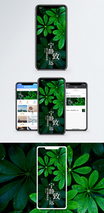 宁静致远手机海报配图图片