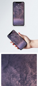 梦幻天鹅湖手机壁纸图片