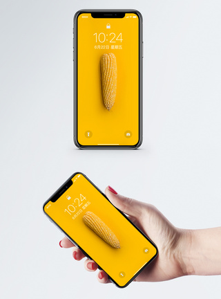 蜂窝玉米玉米手机壁纸模板