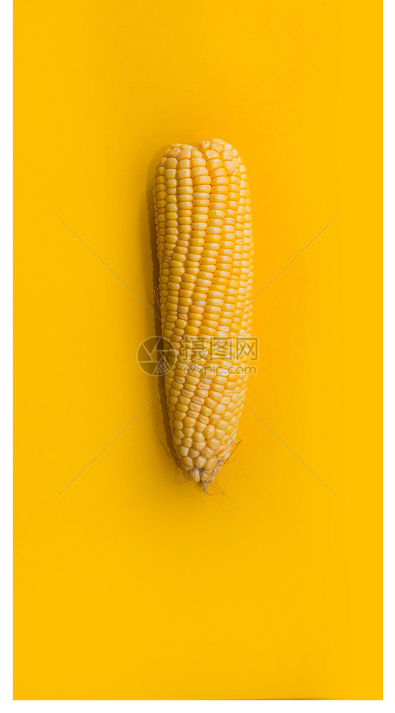 玉米手机壁纸图片
