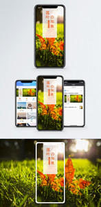 落叶知秋手机海报配图图片