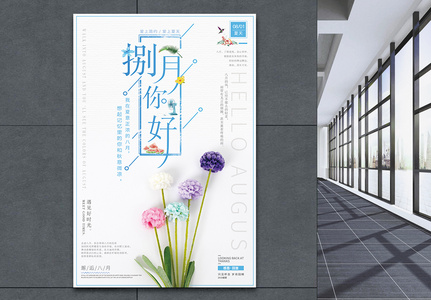 八月花图片 八月花素材 八月花高清图片 摄图网图片下载