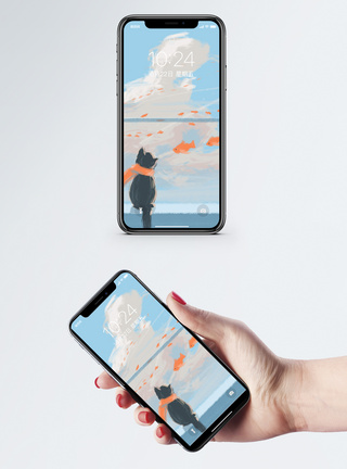 猫与鱼手机壁纸图片