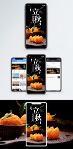 立秋二十四节气手机海报配图图片