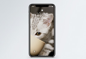 猫喝水手机壁纸图片