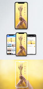 立秋手机海报配图图片