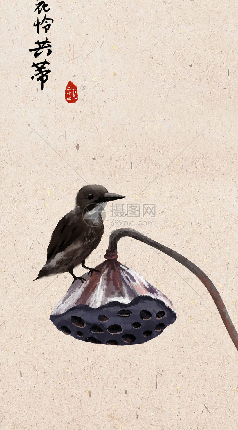 鸟与莲蓬手机壁纸模板素材 正版图片 摄图网