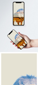 狮子手机壁纸图片