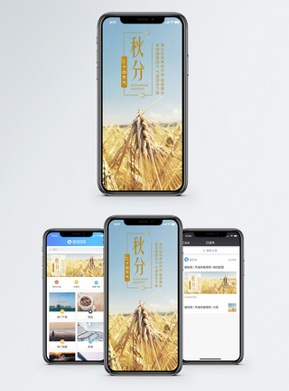 秋分二十四节气手机海报配图图片