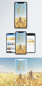秋分二十四节气手机海报配图图片