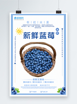 新鲜蓝莓促销海报图片