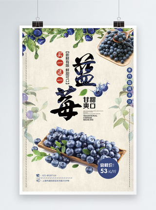 切开的蓝莓蓝莓水果促销海报模板