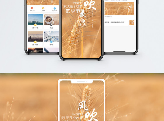 风吹麦浪手机海报配图图片