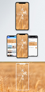风吹麦浪手机海报配图图片
