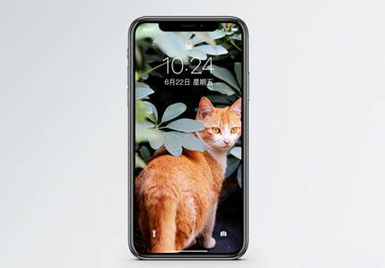 叶子中的猫手机壁纸高清图片