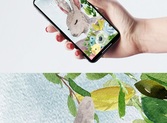 兔子手机壁纸图片