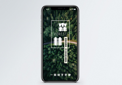 森林手机海报配图图片