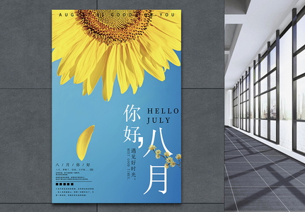 八月向日葵图片 八月向日葵素材 八月向日葵高清图片 摄图网图片下载 八月向日葵图片 八月向日葵素材 八月向日葵高清图片 摄图网图片下载