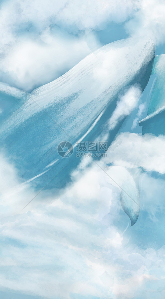 鲸鱼手机壁纸图片