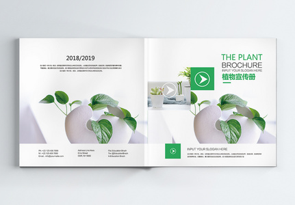 绿色植物宣传画册整套图片