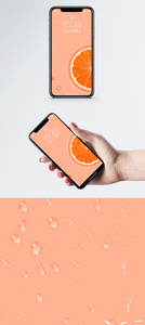 橙手机壁纸图片