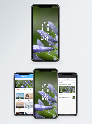 白露手机海报配图图片