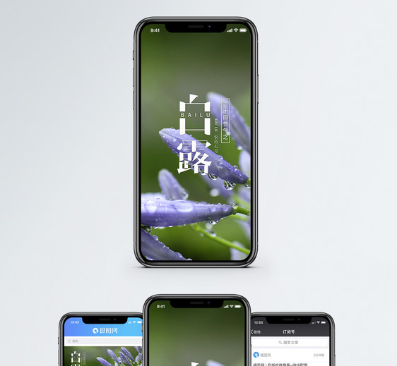 白露手机海报配图图片