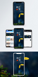 秋来手机海报配图图片