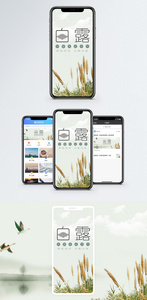 白露手机海报配图图片
