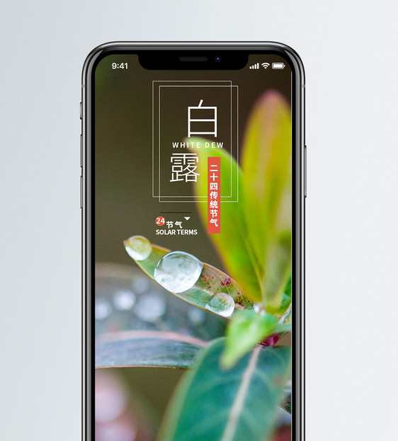 白露手机海报配图图片