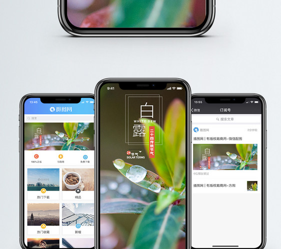 白露手机海报配图图片