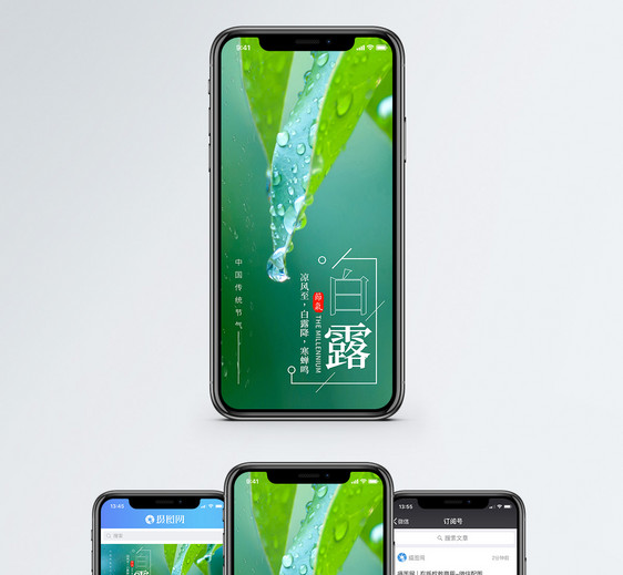 白露节气手机海报配图图片